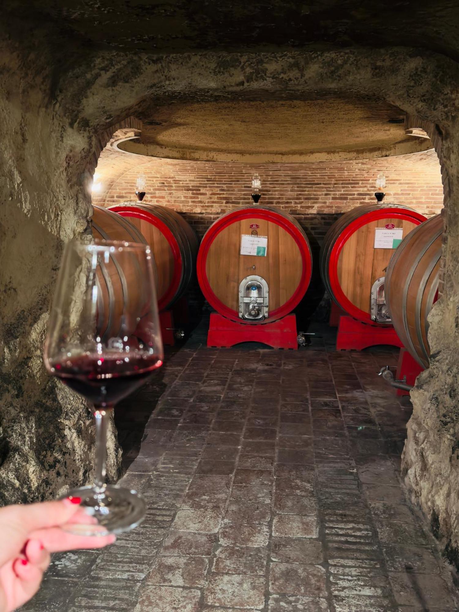 Relais Conac 1888 - Luxury B&B - Adults Only Castelnuovo Don Bosco 外观 照片