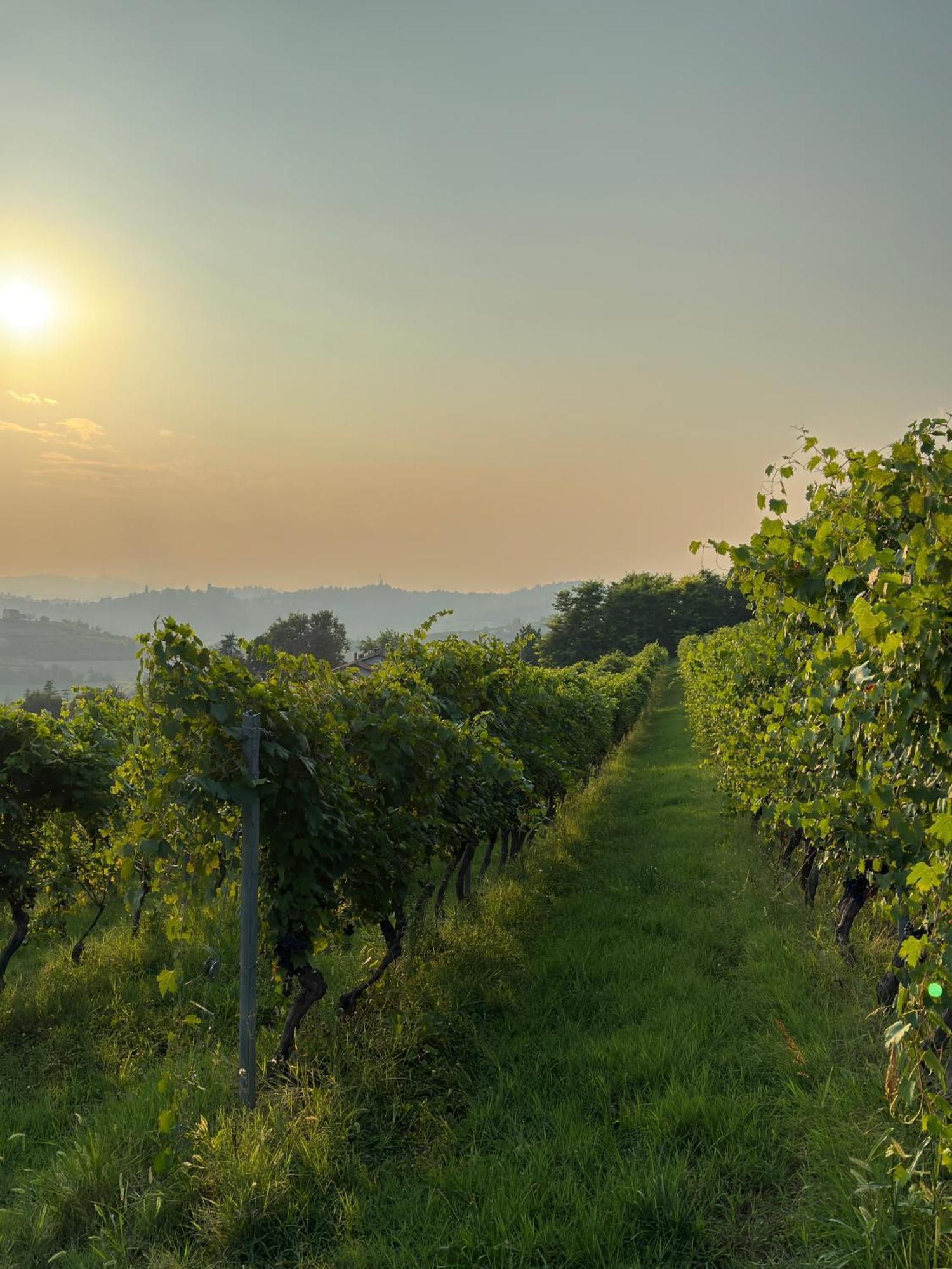 Relais Conac 1888 - Luxury B&B - Adults Only Castelnuovo Don Bosco 外观 照片